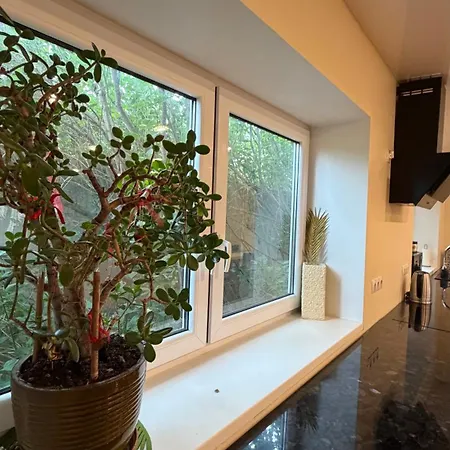 Monica House